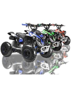 Miniquad niños 6'' Predator