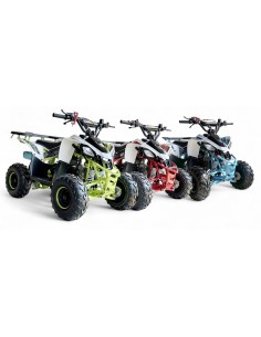 QUADS -Miniquad niños 6'' Predator