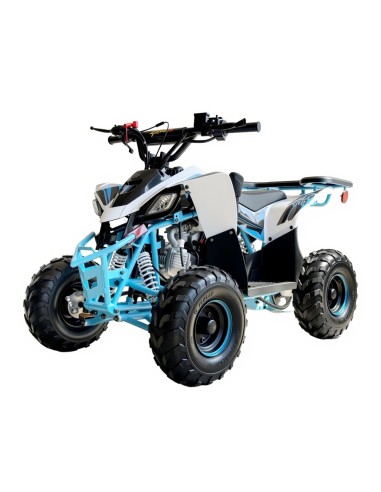 QUADS -Miniquad niños 6'' Predator