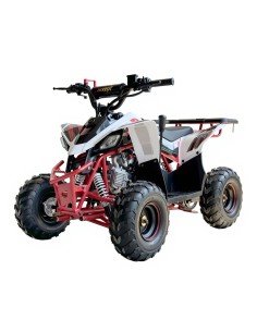 QUADS -Miniquad niños 6'' Predator 2