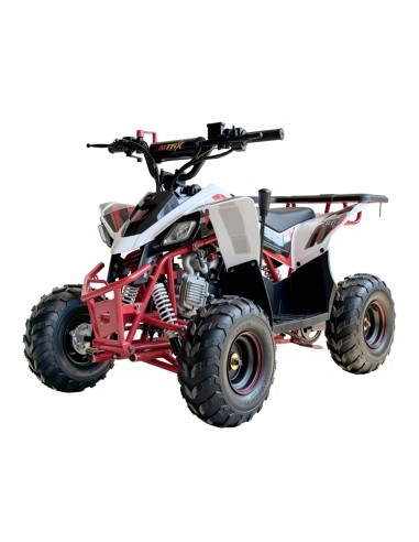 QUADS -Miniquad niños 6'' Predator