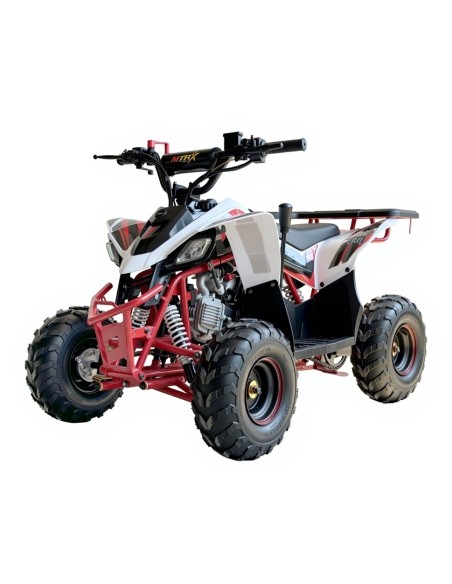 QUADS -Miniquad niños 6'' Predator