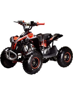 Miniquad niños 6'' Predator 2