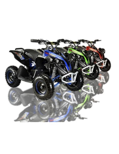 QUADS -Miniquad electrico MTR PIRANHA